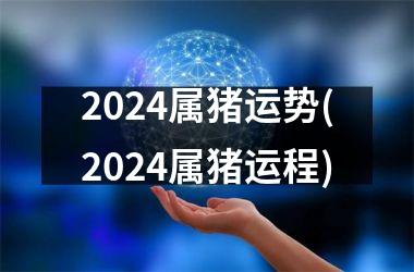 2024属猪运势(2024属猪运程)