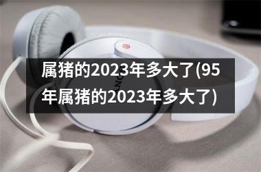 属猪的2025年多大了(95年属猪的2025年多大了)