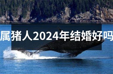 属猪人2024年结婚好吗