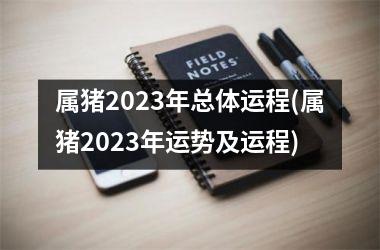 <h3>属猪2025年总体运程(属猪2025年运势及运程)