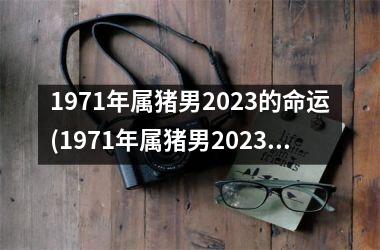 1971年属猪男2025的命运(1971年属猪男2025年运势及运程每月运程)