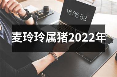 <h3>麦玲玲属猪2025年