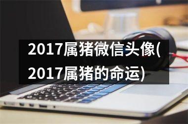 <h3>2017属猪微信头像(2017属猪的命运)