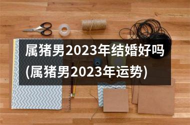 属猪男2025年结婚好吗(属猪男2025年运势)