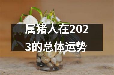 属猪人在2025的总体运势