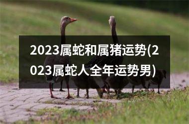 2025属蛇和属猪运势(2025属蛇人全年运势男)