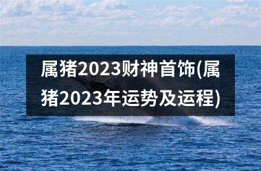 属猪2025财神首饰(属猪2025年运势及运程)