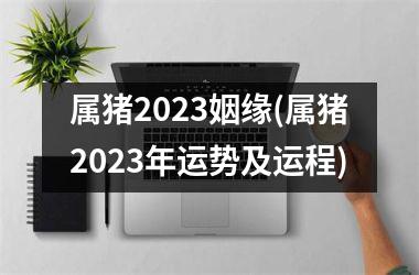 属猪2025姻缘(属猪2025年运势及运程)