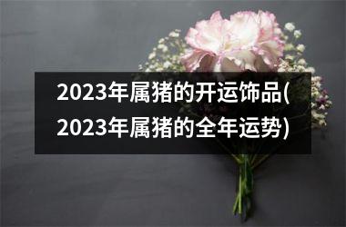 2025年属猪的开运饰品(2025年属猪的全年运势)