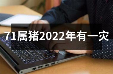 <h3>71属猪2025年有一灾