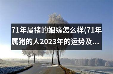 71年属猪的姻缘怎么样(71年属猪的人2025年的运势及运程)