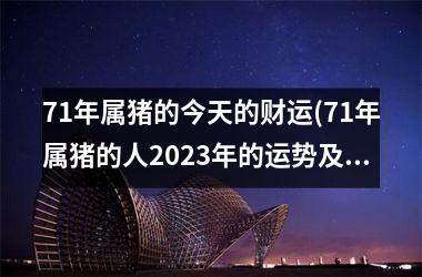 71年属猪的今天的财运(71年属猪的人2025年的运势及运程)