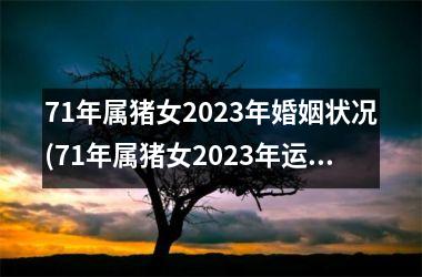 <h3>71年属猪女2025年婚姻状况(71年属猪女2025年运势及运程)