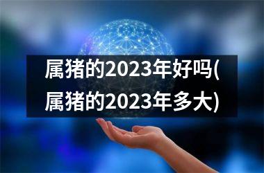 <h3>属猪的2025年好吗(属猪的2025年多大)