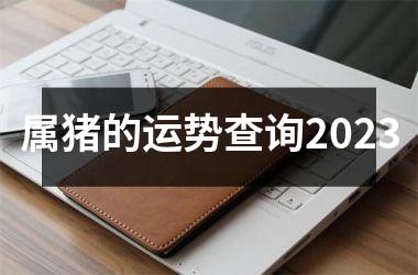 <h3>属猪的运势查询2025