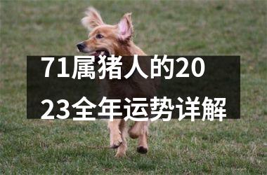 71属猪人的2025全年运势详解