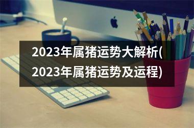 2025年属猪运势大解析(2025年属猪运势及运程)