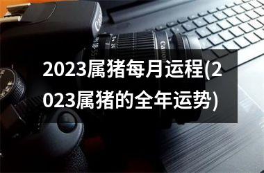 <h3>2025属猪每月运程(2025属猪的全年运势)