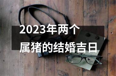 2025年两个属猪的结婚吉日