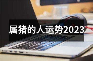 属猪的人运势2025