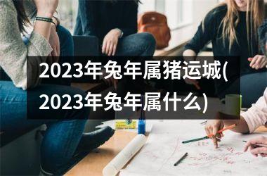 <h3>2025年兔年属猪运城(2025年兔年属什么)