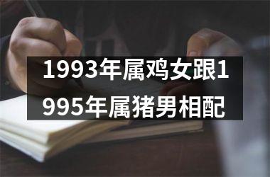 1993年属鸡女跟1995年属猪男相配