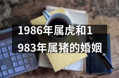 1986年属虎和1983年属猪的婚姻