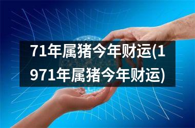 71年属猪今年财运(1971年属猪今年财运)