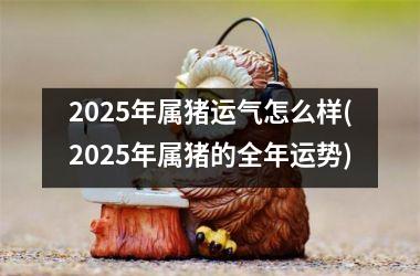 2025年属猪运气怎么样(2025年属猪的全年运势)