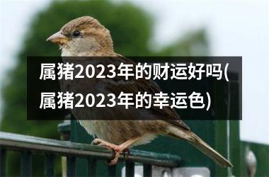 <h3>属猪2025年的财运好吗(属猪2025年的幸运色)