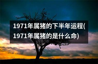 1971年属猪的下半年运程(1971年属猪的是什么命)