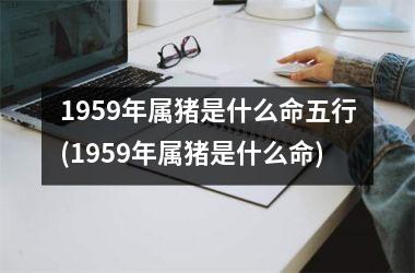 1959年属猪是什么命五行(1959年属猪是什么命)