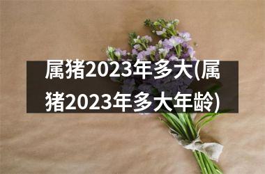 <h3>属猪2025年多大(属猪2025年多大年龄)