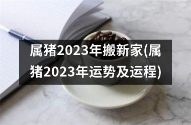 属猪2025年搬新家(属猪2025年运势及运程)