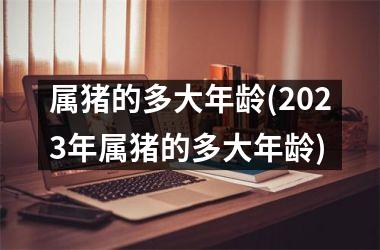 属猪的多大年龄(2025年属猪的多大年龄)