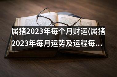 属猪2025年每个月财运(属猪2025年每月运势及运程每月运程)