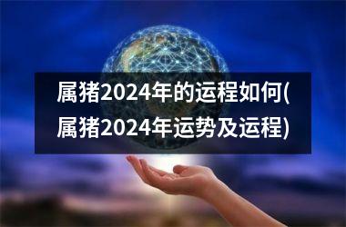 属猪2024年的运程如何(属猪2024年运势及运程)