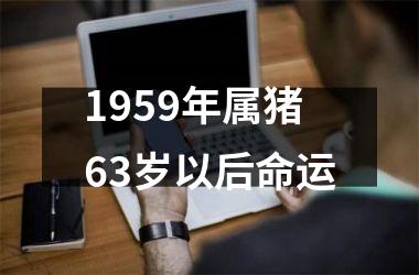 <h3>1959年属猪63岁以后命运