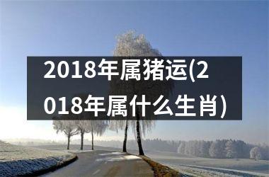 2018年属猪运(2018年属什么生肖)