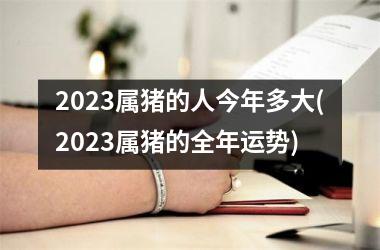 2025属猪的人今年多大(2025属猪的全年运势)