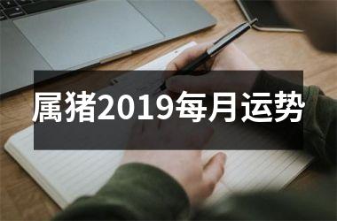 属猪2019每月运势