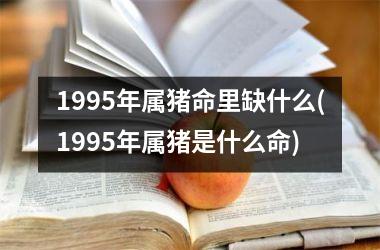 1995年属猪命里缺什么(1995年属猪是什么命)