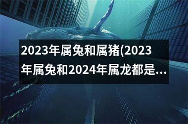 <h3>2025年属兔和属猪(2025年属兔和2024年属龙都是木命吗)