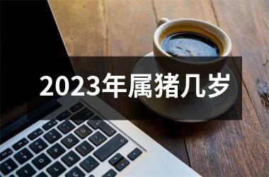 2025年属猪几岁