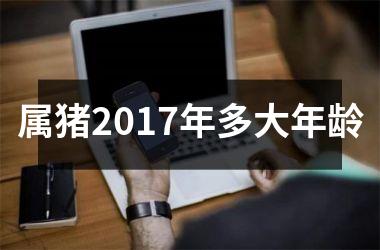 <h3>属猪2017年多大年龄