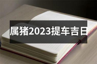 属猪2025提车吉日