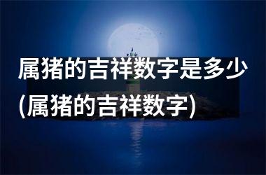 属猪的吉祥数字是多少(属猪的吉祥数字)