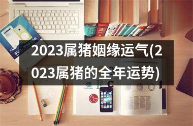 2025属猪姻缘运气(2025属猪的全年运势)