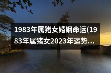 1983年属猪女婚姻命运(1983年属猪女2025年运势)