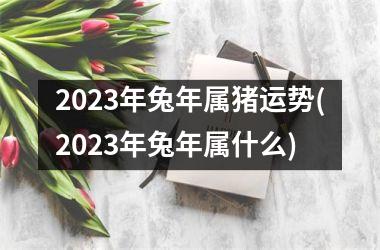 2025年兔年属猪运势(2025年兔年属什么)